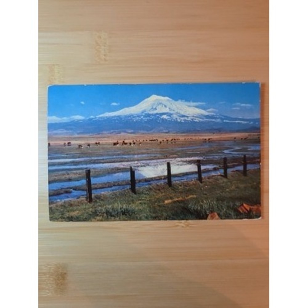 Vintage Mt Shasta California H S Crocker Mirro-Krome Postcard K-115